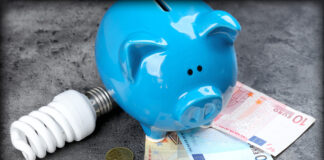 Il Caro…green deal