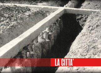 Miopi come le talpe, autolesionisti come i lemmings