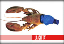 GDO si stava meglio quando si stava peggio