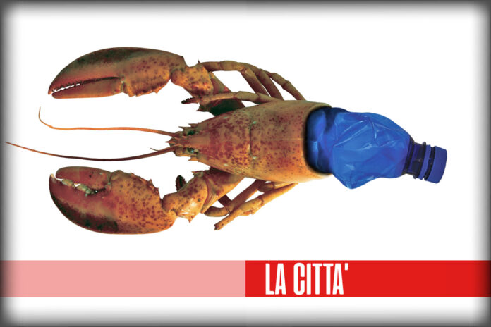 GDO si stava meglio quando si stava peggio