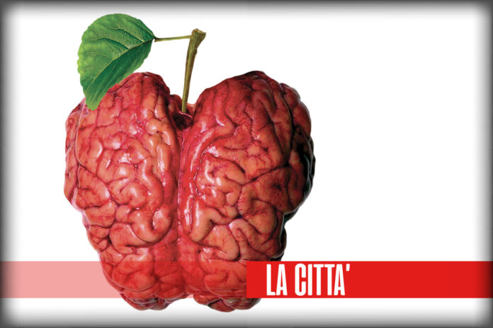 la gdo e i bisogni organizzati