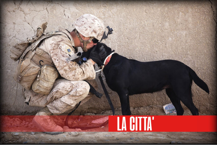 10_Un grido senza voce