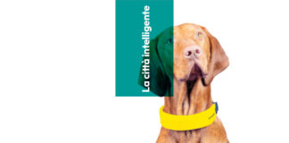Digital bau, hi-tech per amici a 4 zampe