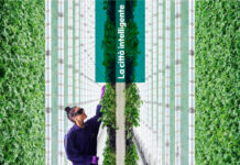 Il cibo del futuro e l’innovazione tecnologica. Dalla terra alla tavola