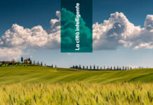 Irrigazione deficitaria, nasce Water4Agrifood