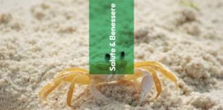 Sofferenza silente