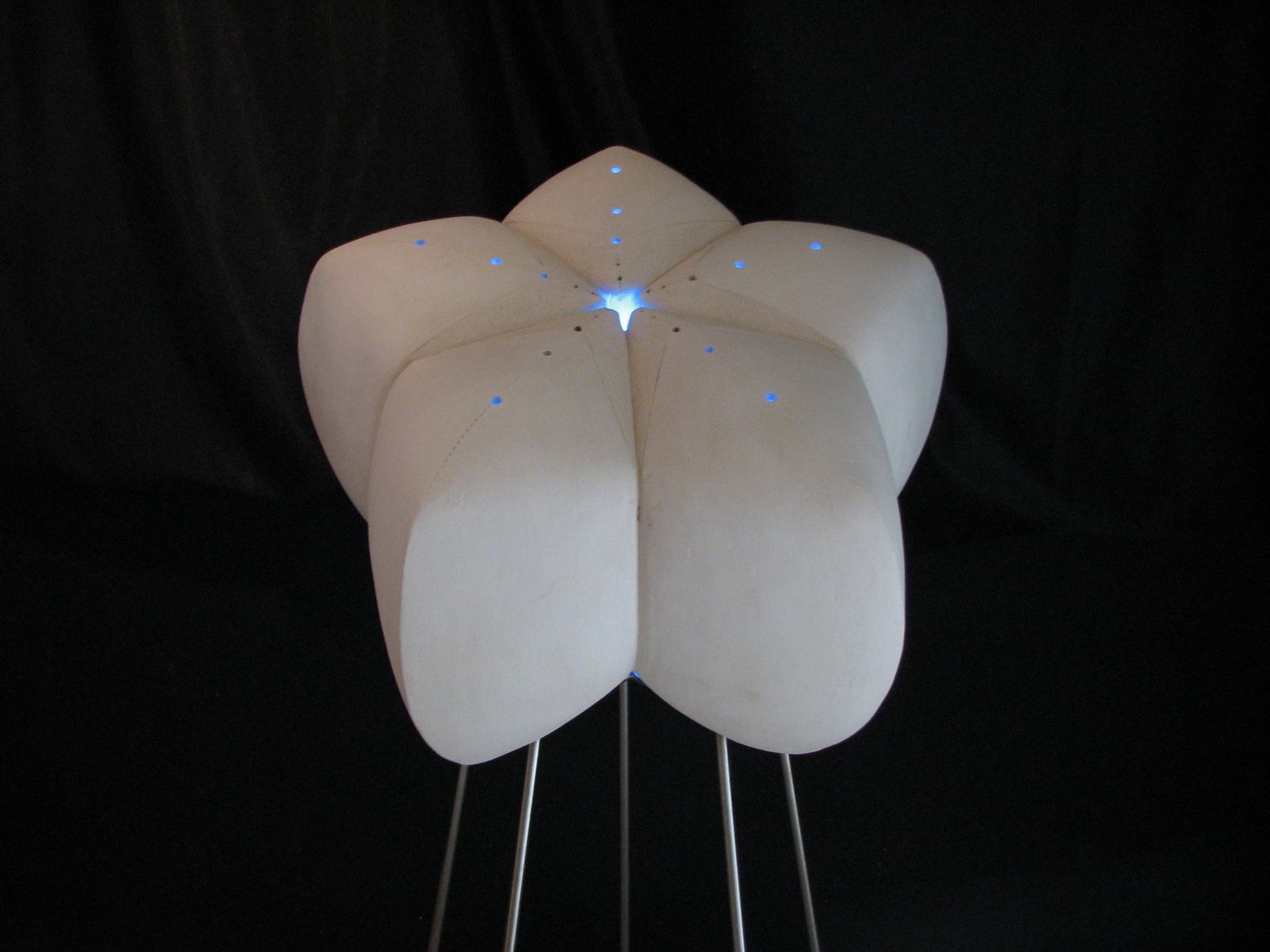 Light Flower
