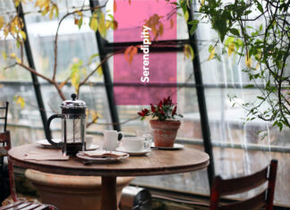 Le Fil Rouge del Cafè Chantant