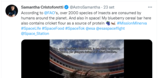 “Insects are good for you and the planet” parola di AstroSamantha