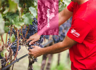 Agraria Riva del Garda: eccellenza in Trentino
