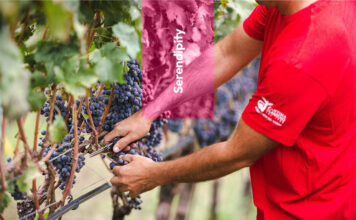 Agraria Riva del Garda: eccellenza in Trentino
