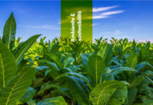 Ricerca: non solo fumo, svelati i segreti genetici del tabacco Australiano