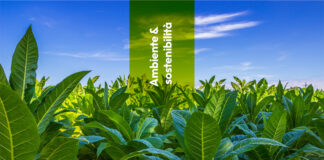 Ricerca: non solo fumo, svelati i segreti genetici del tabacco Australiano
