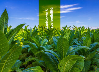 Ricerca: non solo fumo, svelati i segreti genetici del tabacco Australiano